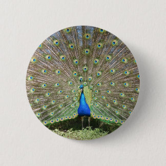 DSCF1062 PINBACK BUTTON