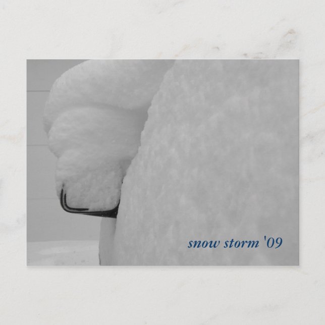 DSCF1089, snow storm '09 Postcard (Front)