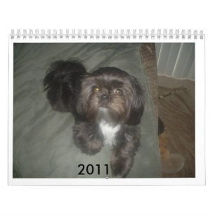 DSCF1937, 2011 CALENDAR