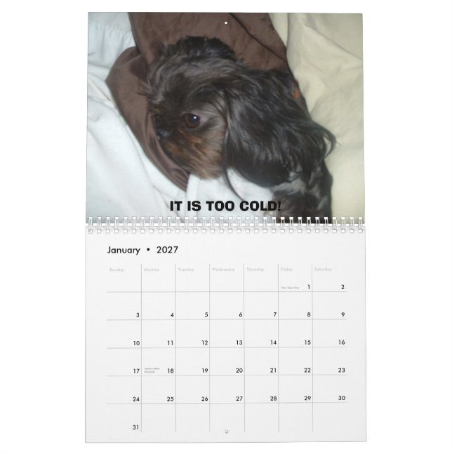 DSCF1937,                             2011 CALENDAR (Jan 2027)