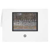 DSCF2458 (Back Horizontal)