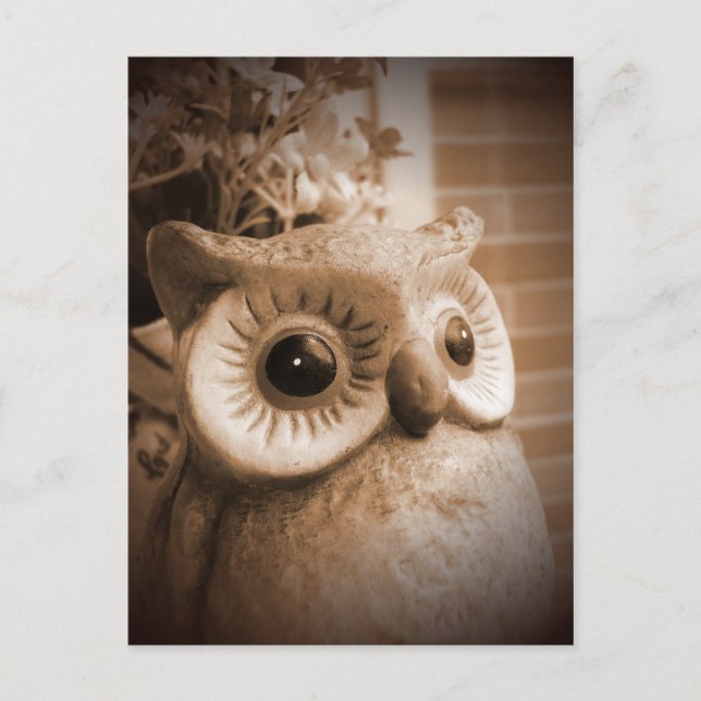 DSCF2729 POSTCARD (Front)