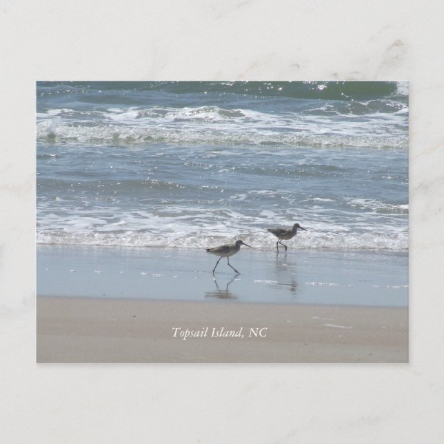 DSCF2949, Topsail Island, NC Postcard (Front)