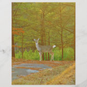 DSCF4041.JPG (Front)