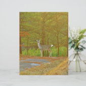 DSCF4041.JPG (Standing Front)