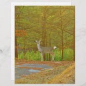 DSCF4041.JPG (Front/Back)