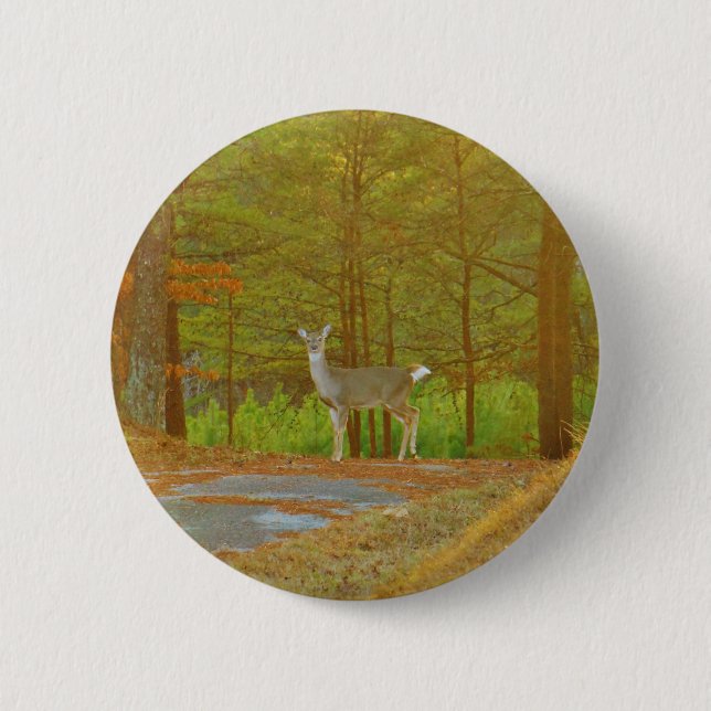 DSCF4041.JPG BUTTON (Front)