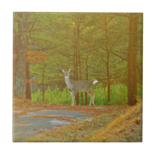 DSCF4041.JPG CERAMIC TILE