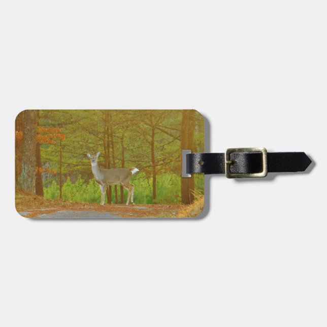 DSCF4041.JPG LUGGAGE TAG (Front Horizontal)