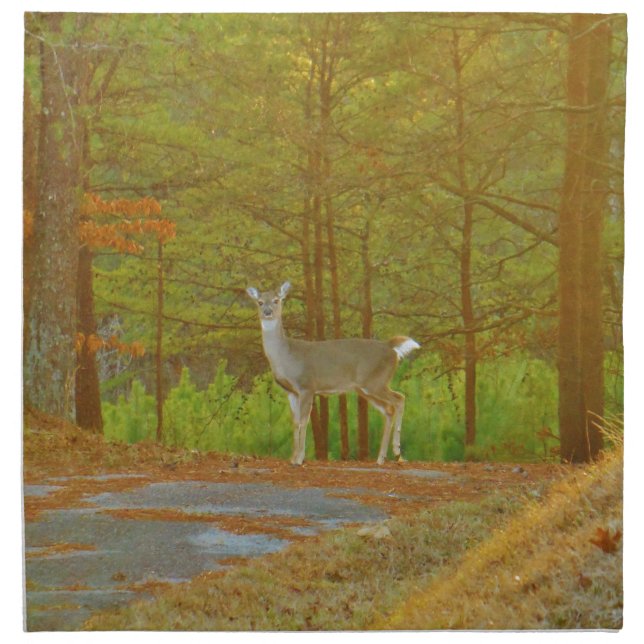 DSCF4041.JPG NAPKIN (Front)