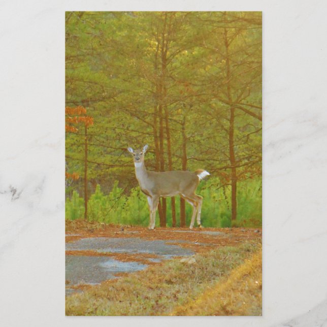 DSCF4041.JPG STATIONERY (Front)