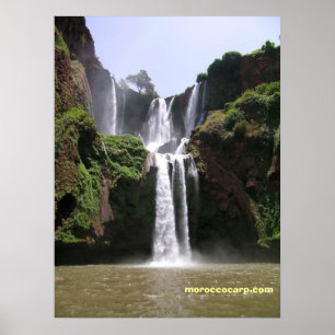 DSCN9348, moroccocarp.com Poster