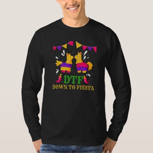 Dtf Down To Fiesta Party Decoration Piata T_Shirt