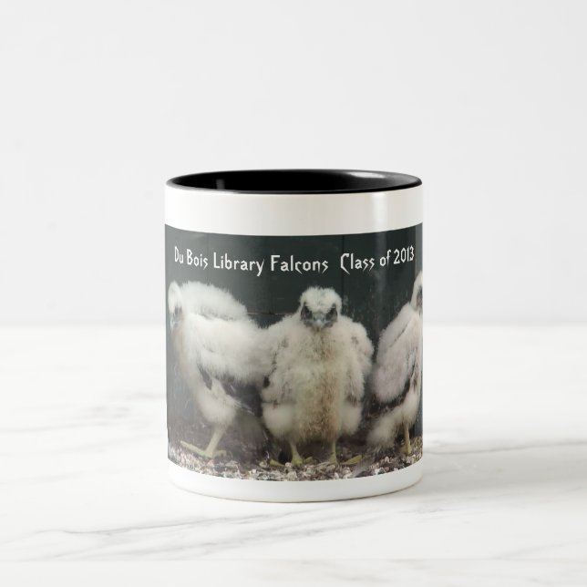 Du Bois Falcons Mug 2013 (Center)