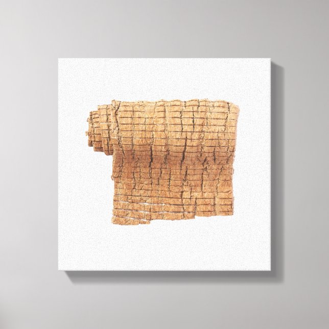 Du Zhong Canvas Print (Front)