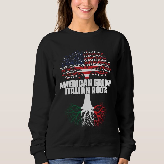 Dual Citizenship America Italy Flag Roots Italian  Sweatshirt (Front)