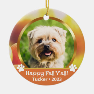 Dual Custom Photo Name Year Pet Fall Ornament
