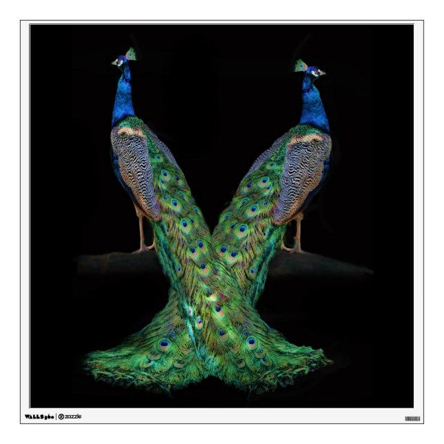 Dual Peacock Art Wall Decal (Front)