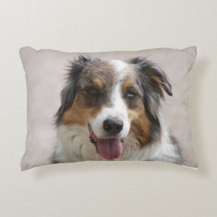 dual sided australian shepherd merle accent pillow