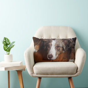 dual sided australian shepherd red merle laying fl lumbar pillow