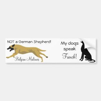 Dual Sticker: NOT a shepherd / dog speaks french Bumper Sticker