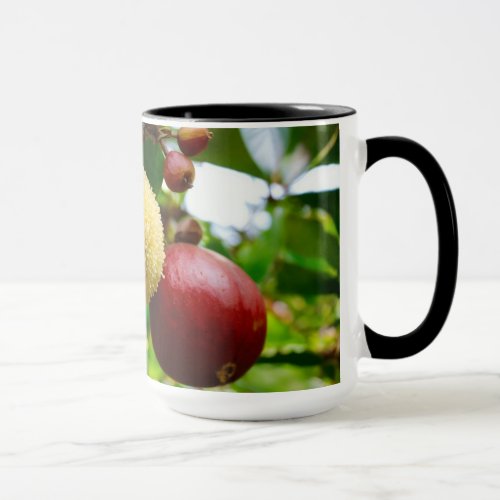 Duality in Design 15 oz Combo Coffee and Tea Mug