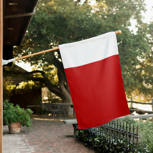 Dubai Flag (In SItu)