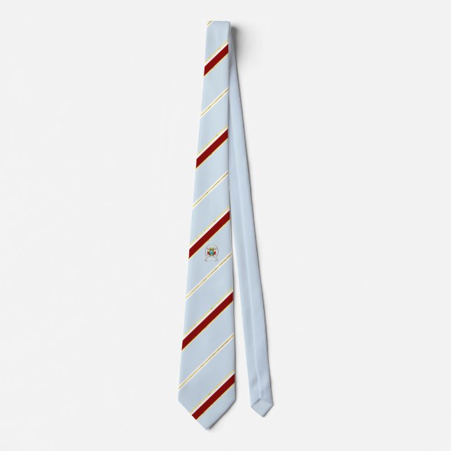 Dubai stripes flag neck tie (Front)