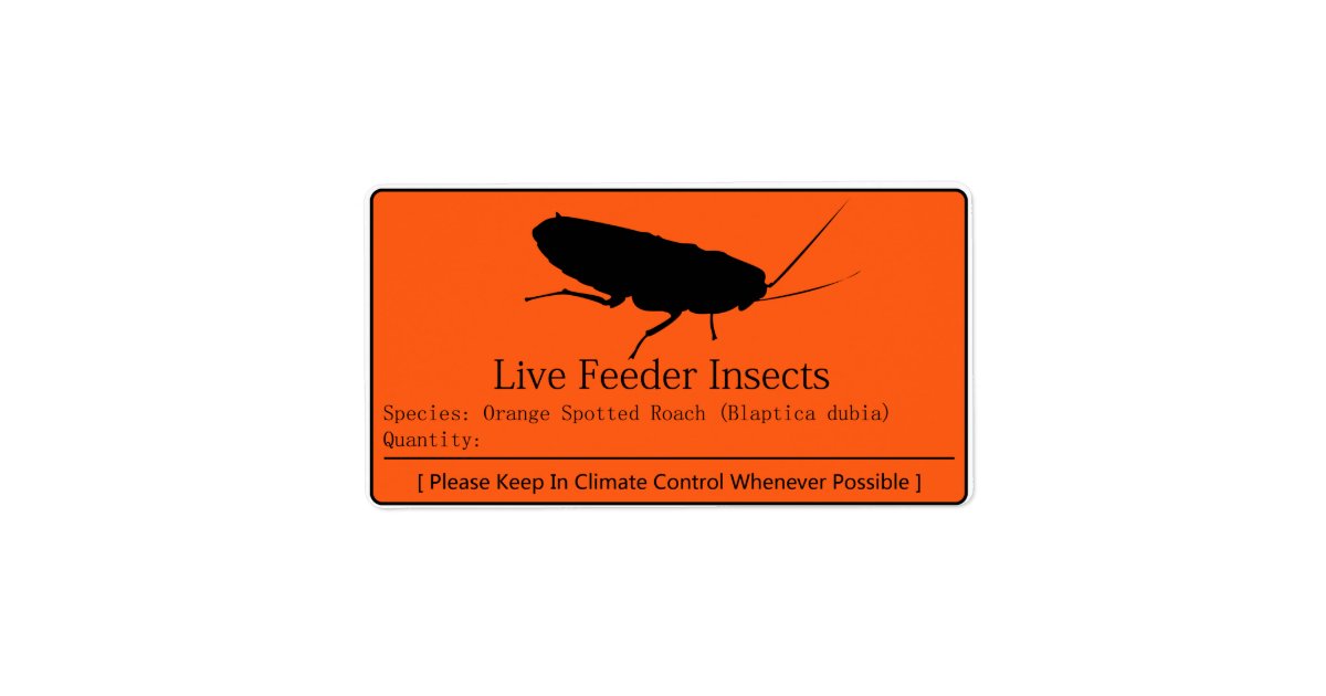 Roaches Label Dubia Roach Label | Zazzle