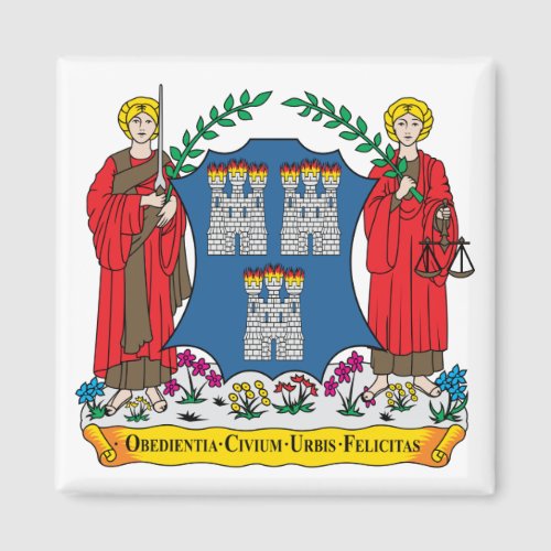 Dublin Coat of Arms Magnet