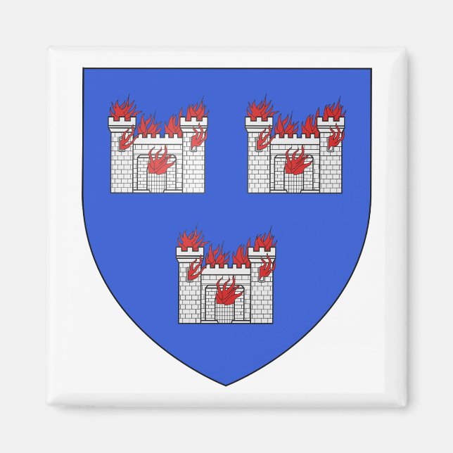 Dublin Coat of Arms Magnet (Front)