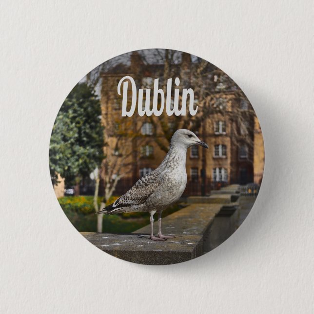Dublin Ireland Bird on Brick Wall Button (Front)