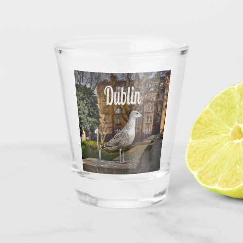 Dublin Ireland Bird on Brick Wall Shot Glass