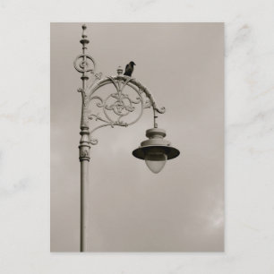 Dublin Lamp Postcard
