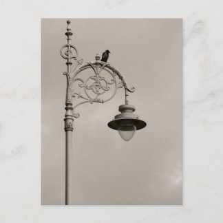 Dublin Lamp Postcard