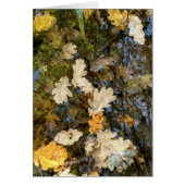 Dublin Leaves (Front)