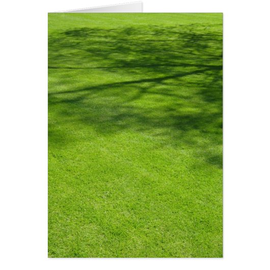 Dublin Shadows (Front)