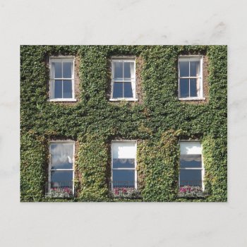Dublin Town House Windows And Climbing Ivy Postcard by DigitalDreambuilder at Zazzle
