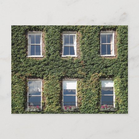 Dublin Town House Windows And Climbing Ivy Postcard
