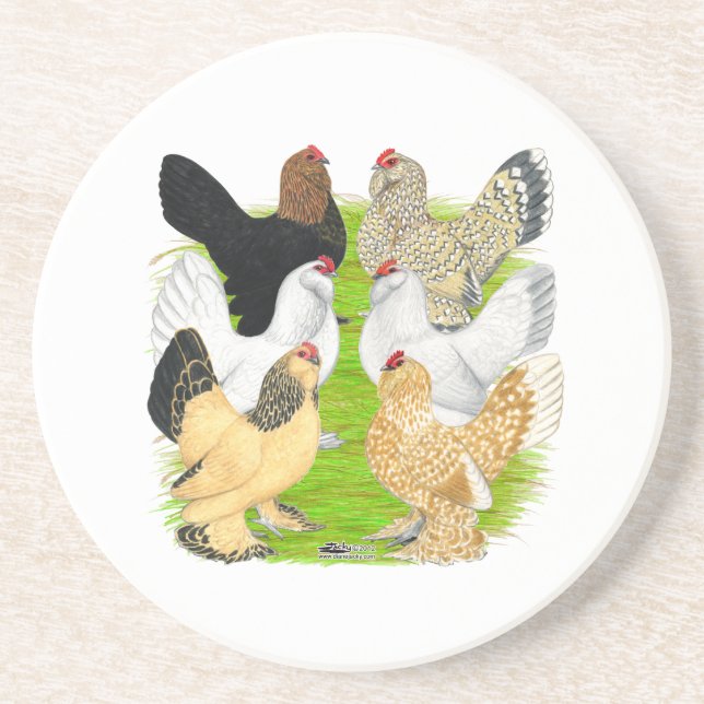 D'Uccles Six Hens Sandstone Coaster (Front)