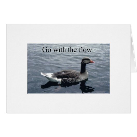 duck3 cards (Front Horizontal)