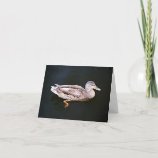 Duck 907b card