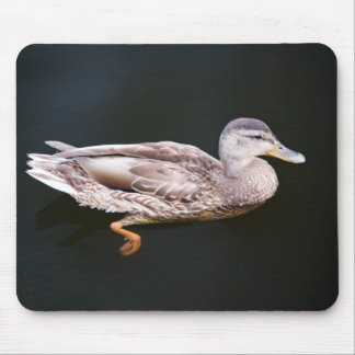 Duck 907b mouse pad