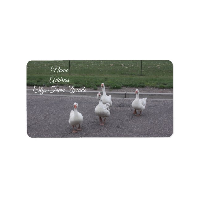 Duck Address Labels (Front)