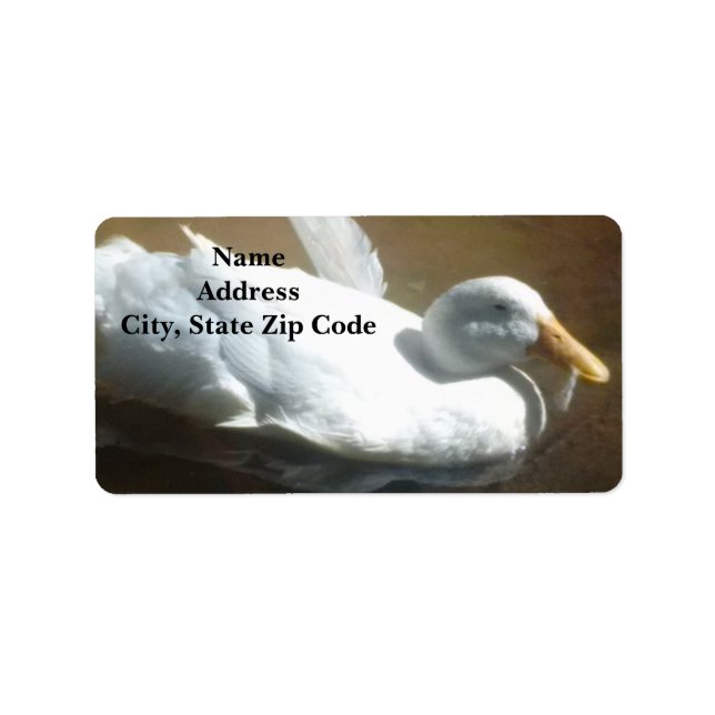 Duck Address Labels (Front)