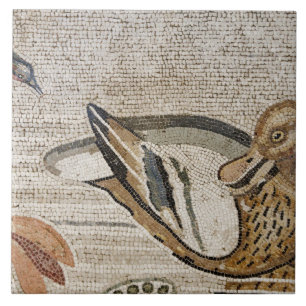 Duck and bird, Nile mosaic, House of the Faun Tile
