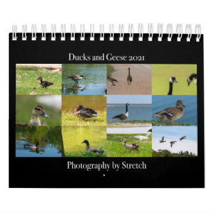 Duck and Geese Photography 2021 Calendar