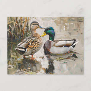 Duck and Mallard Wildlife Painting Postcard