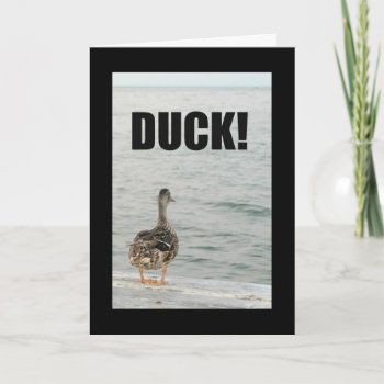 Duck! Another Birthday's Heading Right For You! Card by MortOriginals at Zazzle