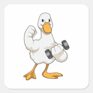 Duck at Bodybuilding with Dumbbell Square Sticker